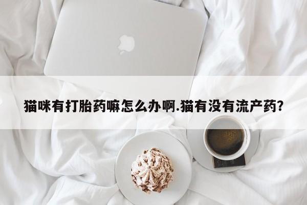 米非米索怎么购买猫咪有打胎药嘛怎么办啊.猫有没有流产药？