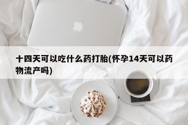 米非米索怎么购买十四天可以吃什么药打胎(怀孕14天可以药物流产吗)